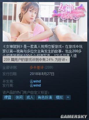 国产淫秽,暗流涌动的灰色地带